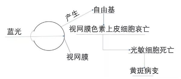 LED灯可诱发失明！关于蓝光危害这些人尤其要当心(图3)