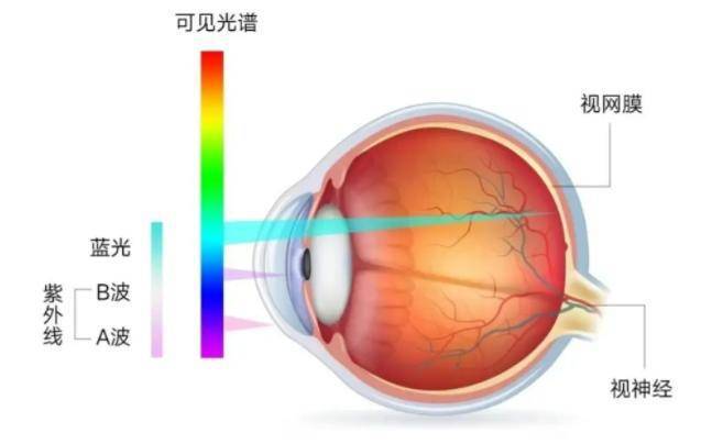 哪个品牌led灯好？五大公认最好用的护眼台灯推荐！(图4)