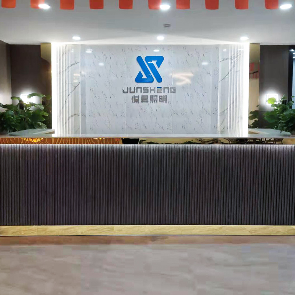 led高压灯带(图1)