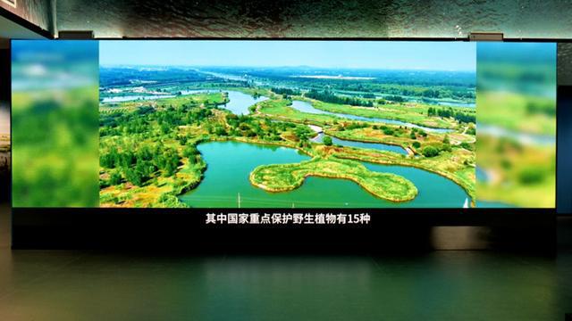 案例丨活灵活现！某科学研究院以AOC全彩LED显示屏打造科幻新潮流(图3)