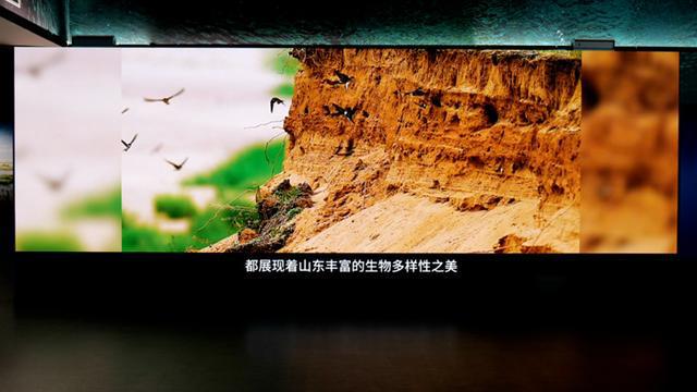 案例丨活灵活现！某科学研究院以AOC全彩LED显示屏打造科幻新潮流(图4)