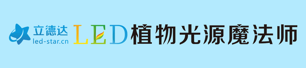 进博会上闪耀的“照明”元素！(图19)