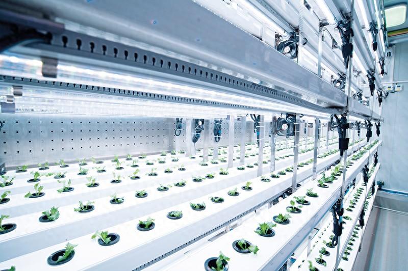 植物工厂如何从集装箱走向市场(图1)
