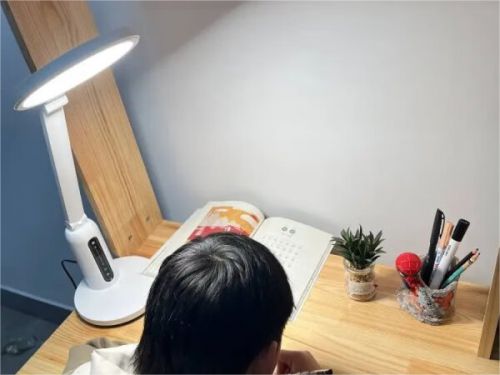 儿童照明灯led哪个好？平价护眼台灯的省钱还是赔健康？(图7)