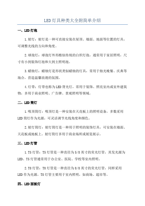 常见LED产品列表(图2)