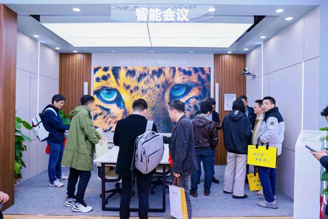 辰显光电TFT基Micro-LED新品惊艳亮相ISLE2025人气爆棚获赞无数(图4)