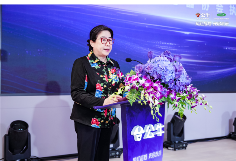 深圳市中顺半导体照明取得陶瓷发光半导体器件模压一体成型方法和控制系统专利(图3)