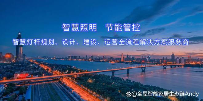 智慧路灯智慧用电解决方案城市照明系统(图3)