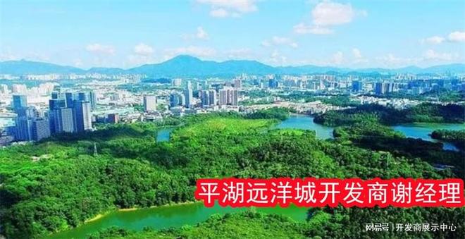 从5方面解析深圳龙岗平湖远洋城开发商是谁交房时间交付标准(图1)