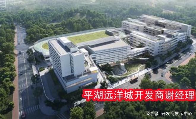 从5方面解析深圳龙岗平湖远洋城开发商是谁交房时间交付标准(图3)