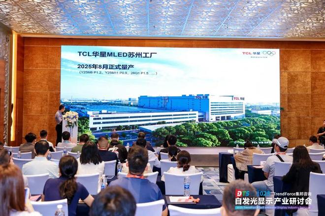 干货来袭！2025自发光显示产业研讨会亮点全览(图18)