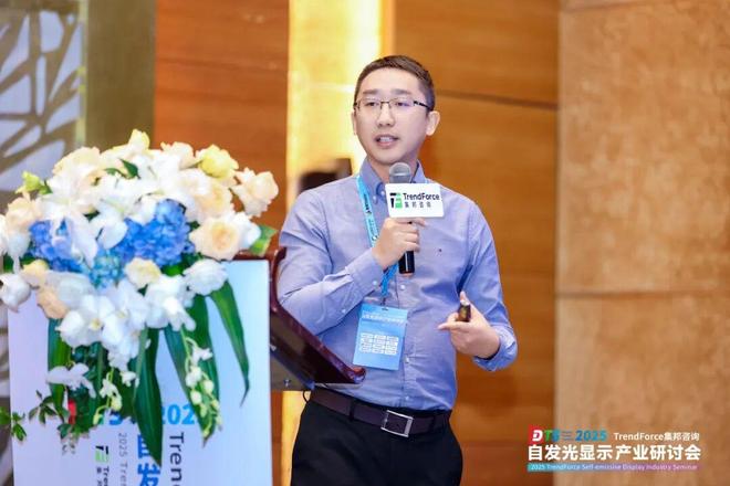 干货来袭！2025自发光显示产业研讨会亮点全览(图16)