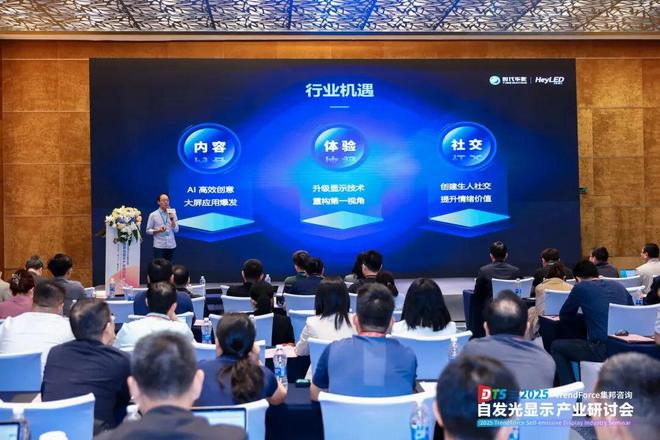 干货来袭！2025自发光显示产业研讨会亮点全览(图15)