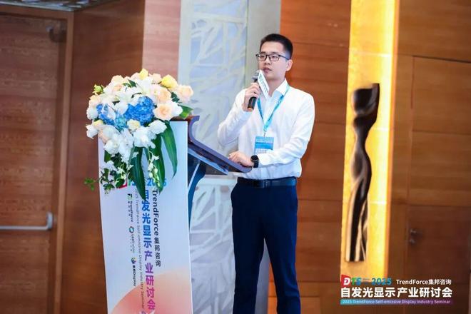 干货来袭！2025自发光显示产业研讨会亮点全览(图19)