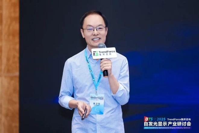 干货来袭！2025自发光显示产业研讨会亮点全览(图13)