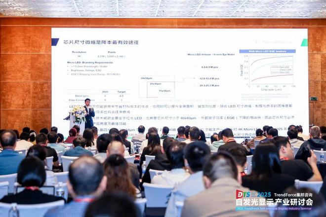 干货来袭！2025自发光显示产业研讨会亮点全览(图3)