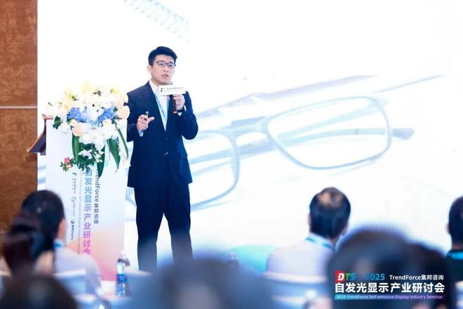 干货来袭！2025自发光显示产业研讨会亮点全览(图1)