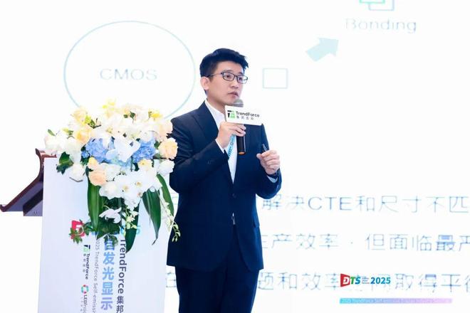 干货来袭！2025自发光显示产业研讨会亮点全览(图28)