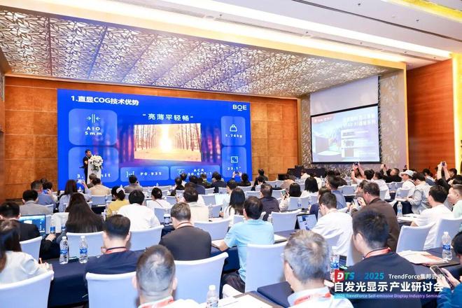 干货来袭！2025自发光显示产业研讨会亮点全览(图12)