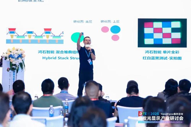 干货来袭！2025自发光显示产业研讨会亮点全览(图27)