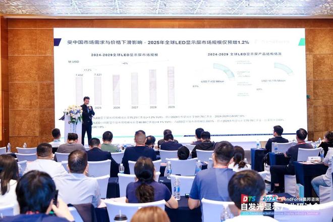 干货来袭！2025自发光显示产业研讨会亮点全览(图39)