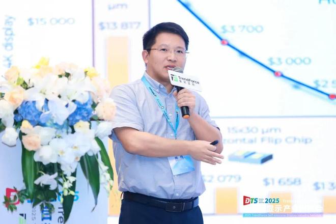 干货来袭！2025自发光显示产业研讨会亮点全览(图31)