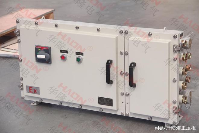 2025年专业的防爆照明配电箱——华隆电气：以精工科技守护(图2)