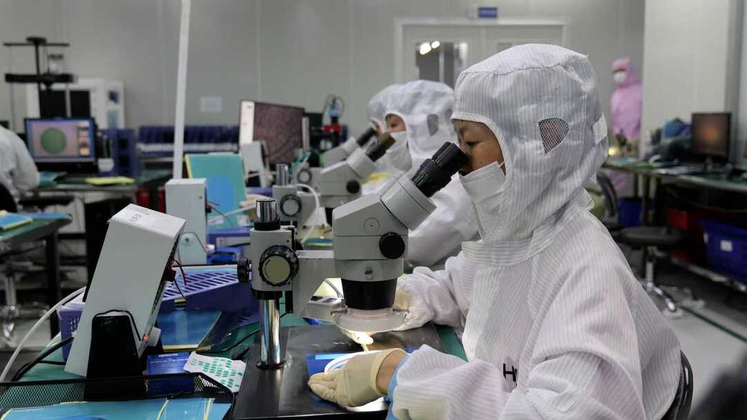 五载同行向新出发丨郴州高新区华磊光电：让绿色之光照亮全球(图4)