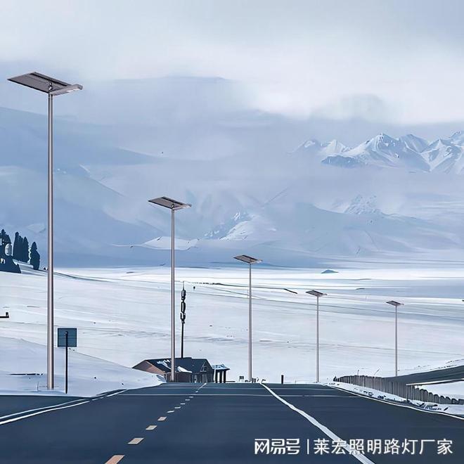 四川莱宏照明工程集团专注照明领域玉兰灯路灯智慧路灯一站式供(图1)