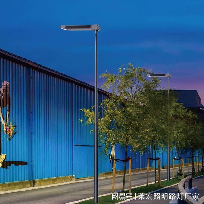 四川莱宏照明工程集团专注照明领域玉兰灯路灯智慧路灯一站式供(图2)