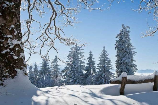 智慧路灯实现按需照明节能(图1)