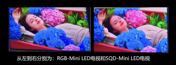 RGB-MiniLED跨代打击SQD-MiniLED！三大维度完胜成高端电视首选(图4)