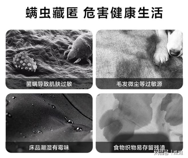 除螨仪什么牌子的好？除螨仪前十名排行榜品牌测评惊喜拉满(图1)