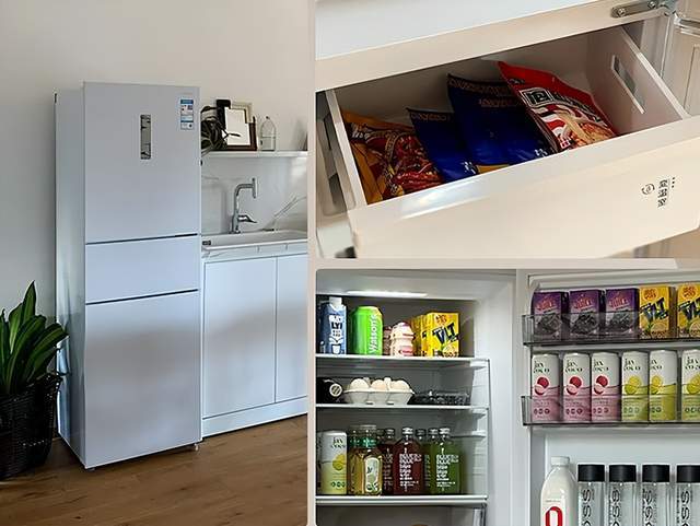 东芝冰箱质量怎么样？哪个型号好？2025最建议买这三款：口碑公认(图4)