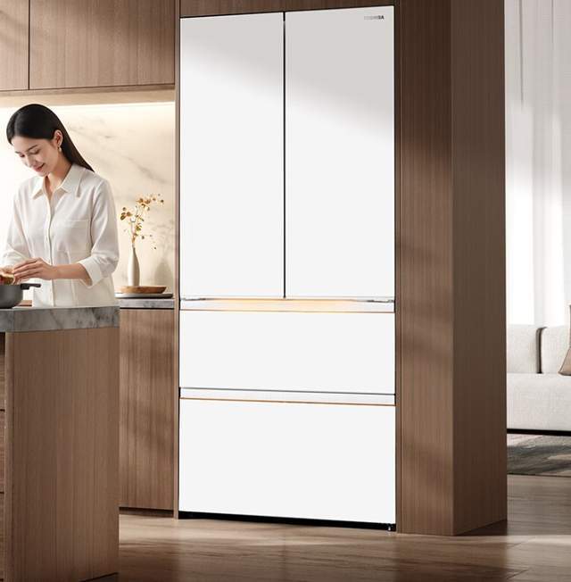 东芝冰箱质量怎么样？哪个型号好？2025最建议买这三款：口碑公认(图9)