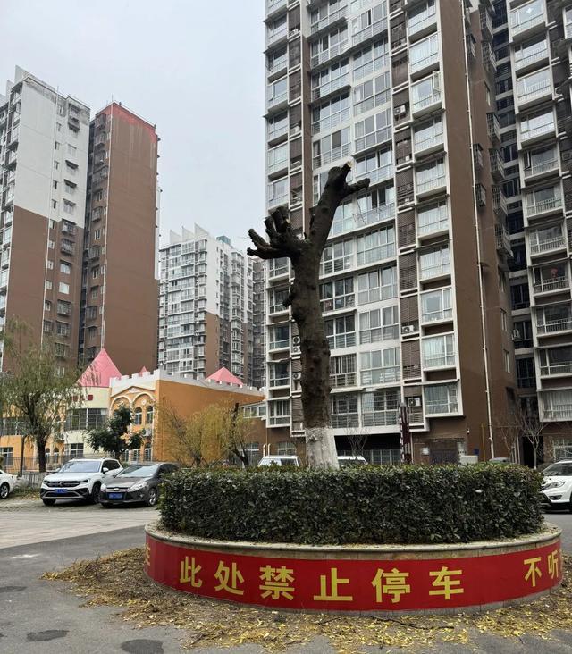 利州区雪峰街道：2025年四季度“办一件事暖万人心”惠民活动公示(图1)