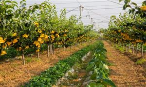 中研网行业资讯_中研普华行业研究网(图12)