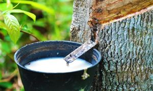 行业预警_中研普华行业研究网(图1)