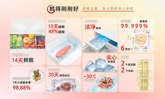 东芝大白梨爆品上新｜全能再进阶生活有梨刚刚好(图4)